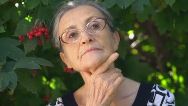 Retrato de close-up de mulher madura sênior chateada em óculos arrependendo-se de algo e segurando as mãos perto da cabeça. Emoção negativa, expressão facial, sensação — Vídeo de Stock