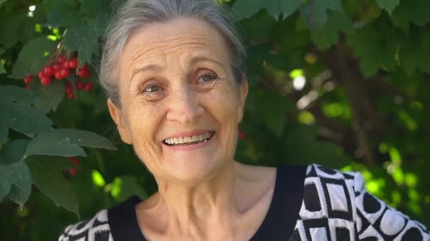 Krásná stará babička s šedivými vlasy a tvář s vráskami se dívá na fotoaparát s úsměvem a štěstí na zeleném pozadí stromu, Den matek, šťastný odchod do důchodu — Stock video