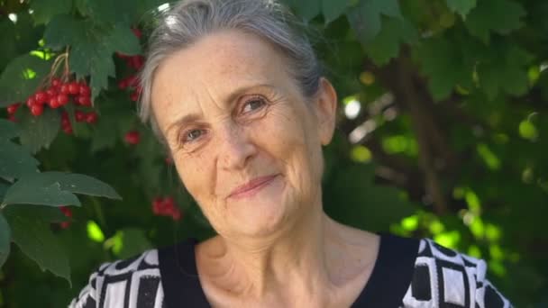 Krásná stará babička s šedivými vlasy a tvář s vráskami se dívá na fotoaparát s úsměvem a štěstí na zeleném pozadí stromu, Den matek, šťastný odchod do důchodu — Stock video