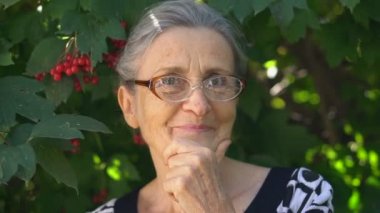 Gri saçlı, kırışık, gözlük takan yaşlı ve güzel bir büyükanne yeşil ağaçta gülümsüyor, anneler günü, mutlu emeklilik.