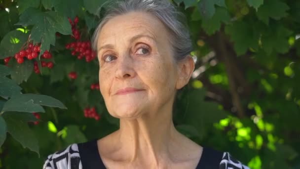 Belle vieille grand-mère aux cheveux gris et visage ridé regarde la caméra avec sourire et bonheur sur fond d'arbre vert, fête des mères, retraite heureuse — Video