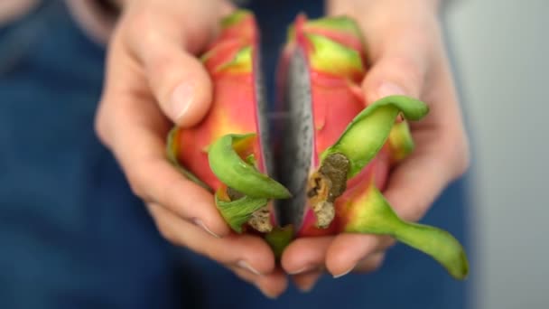 Женщины держат в руках свежие спелые органические драконьи фрукты или питайю, питахая. Экзотические фрукты, концепция здорового питания — стоковое видео
