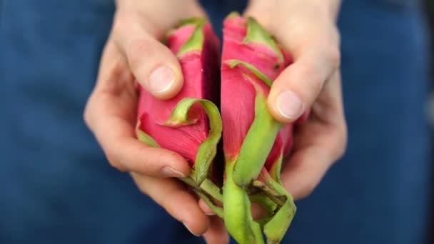 Mâini de sex feminin care dețin fructe proaspete de dragon organic sau pitaya, pitahaya. Fructe exotice, concept de alimentație sănătoasă — Videoclip de stoc