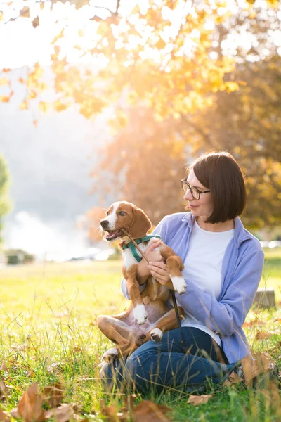 Happy dog and woman playing in autumn park. Girl and cute pet having fun together outdoor. Lifestyle authentic moment. Friendship, love, support, empathy between people and animals.