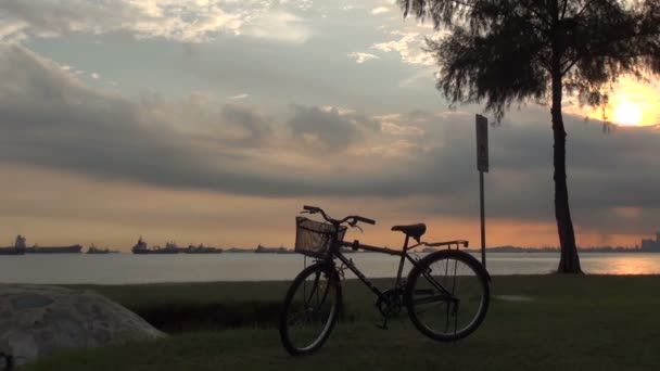 シンガポールのビーチで夕日のシーン — ストック動画