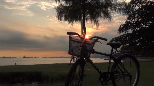 Pôr do sol cena na praia em Cingapura — Vídeo de Stock