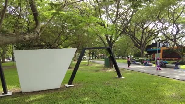 Roller Blade Clase Pública Singapur Parque Aire Libre Embalse Niños — Vídeo de stock