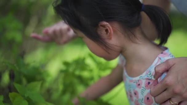 Menina Chinesa Asiática Com Mãe Professora Brincando Com Plantas Natureza — Vídeo de Stock