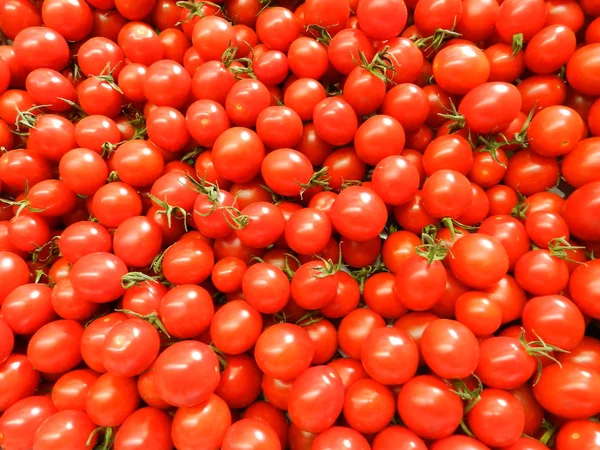 Pequenos tomates vermelhos — Fotografia de Stock