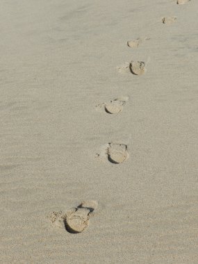 Kumda ayak adımları