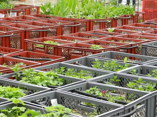 Jardinería de la ciudad Imágenes de stock libres de derechos