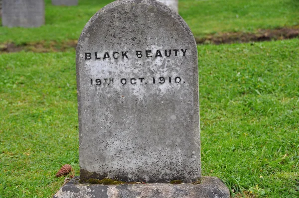검은 아름다움의 무덤 스톡 이미지