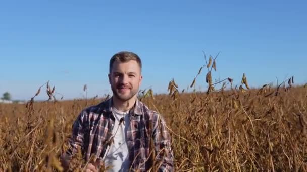 Een boer in het midden van een soja veld — Stockvideo