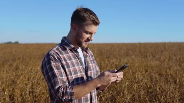 Een boer of agronomist typt iets in een mobiele telefoon midden in een sojaveld tijdens de oogst — Stockvideo