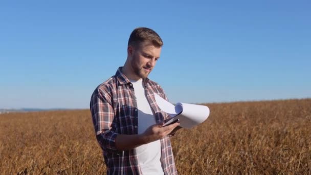Un agricultor o agrónomo se encuentra en medio de una soja madura en un campo y lee registros en documentos — Vídeo de stock