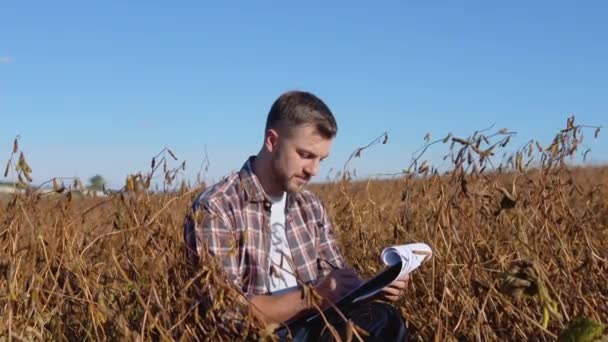 A farmer or agronomist sits in the middle of a mature soybean in a field and makes notes on a tablet with documents — Stock Video