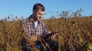 Bir çiftçi ya da tarımcı, olgun bir soya fasulyesinin ortasında oturur ve belgelerle dolu bir tablete notlar alır.
