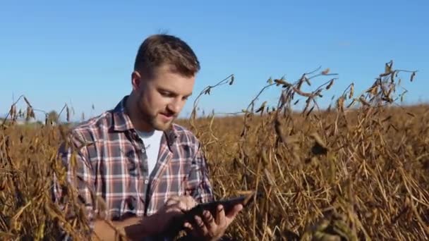 畑の中の成熟した大豆の真ん中に農家や農学者が座っており、文書でタブレットにメモを取ります。健康食品 — ストック動画