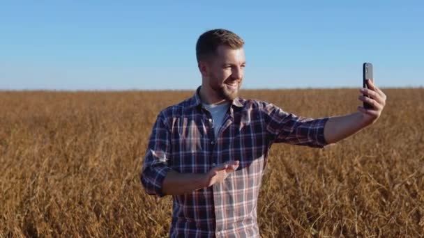 A farmer or agronomist stands in the middle of a mature soybean in a field and communicates via video link. cellular communication and internet network for business. Healthy vegetarian food — Stock Video