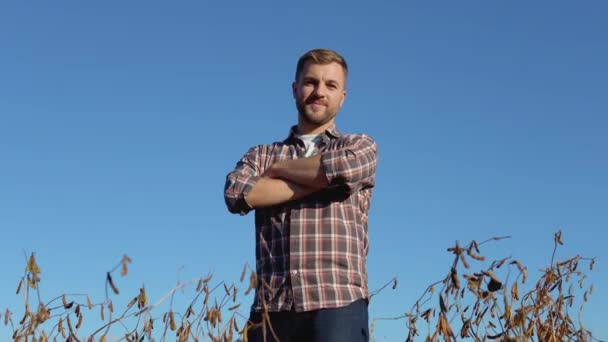 Een boer of agronomist staat midden in een rijpe soja in een veld en kijkt glimlachend naar de camera — Stockvideo