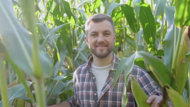 Un agricultor o agrónomo en un campo de maíz se encuentra en medio de brotes de maíz y sonríe a la cámara — Vídeo de stock