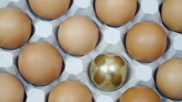 Muchos huevos de pollo marrón y un huevo dorado a su vez vista superior. Huevos crudos en bandeja — Vídeos de Stock