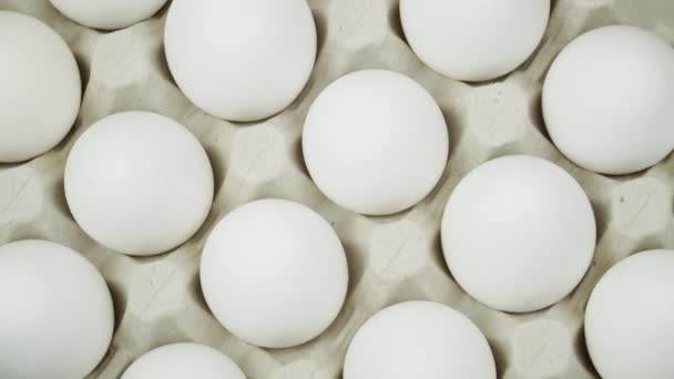 Oeufs de poulet blanc tour à tour vue de dessus. Œufs crus dans un plateau — Video