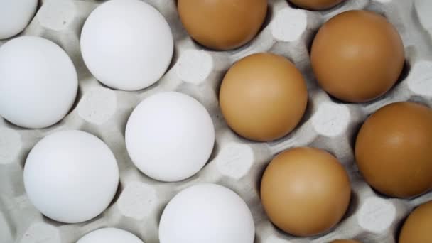 Huevos crudos en una bandeja. Huevos de pollo a su vez vista superior — Vídeos de Stock