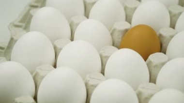Büyük bir tepsi yumurta dönüyor. Tavuk beyaz taze çiğ yumurta ve yalnız kahverengi yumurta.