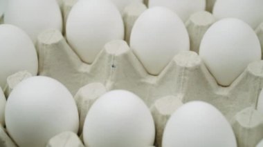 Bir sürü beyaz yumurtayı platforma yerleştiriyorum. Yakın çekim. Bir sürü taze çiğ tavuk yumurtası. Yumurta üretim tesisi kavramı