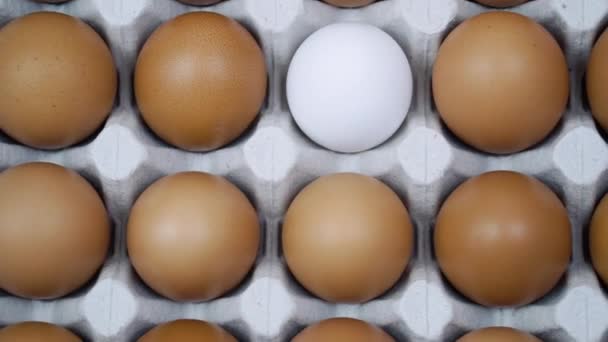 Large tray of eggs is spinning. Chicken brown fresh raw eggs and alone white egg — Stock Video