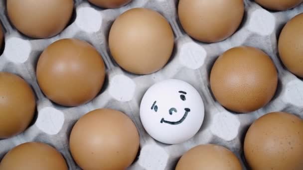 Muchos huevos de pollo marrón y huevo blanco con sonrisa a su vez vista superior. Huevos crudos en bandeja — Vídeo de stock