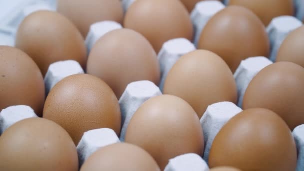 Faire revenir les œufs de poulet à leur tour vue latérale. Œufs crus dans un plateau — Video