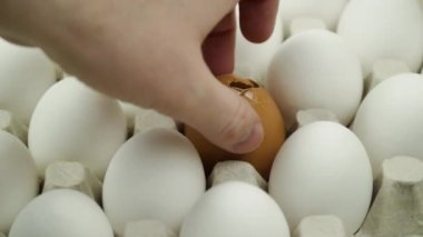 El kırık yumurtayı platformdaki tüm yumurtaya çeviriyor. Yakın çekim. Bir sürü çiğ tavuk yumurtası.