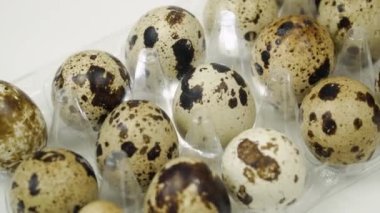 Sırayla bıldırcın yumurtaları. Tepside çiğ yumurta.