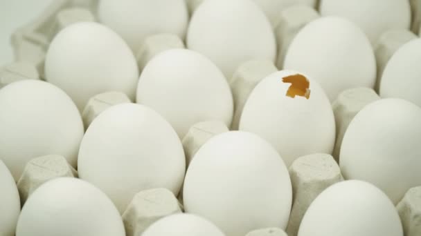 Куриные белые свежие сырые яйца и одинокое разбитое яйцо. Крупный лоток с яйцами вращается — стоковое видео