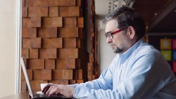 Knappe senior freelancer zakenman in bril ijverig werken op laptop in cafe — Stockvideo