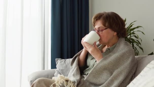 Schöne alte Frau trinkt Tee sitzend auf Sofa zu Hause — Stockvideo
