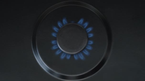 Gas gaat aan, blauwe vlam. Keukenbrander brandt aan — Stockvideo