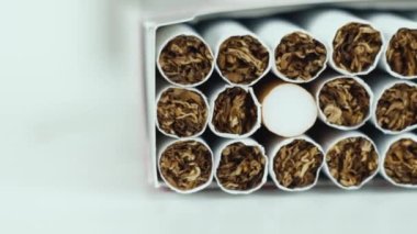 Bir yığın tütün sigarası beyaz arka planda dönüşümlü olarak kapanıyor. Tütün sigara arkaplanını veya dokusunu kapat