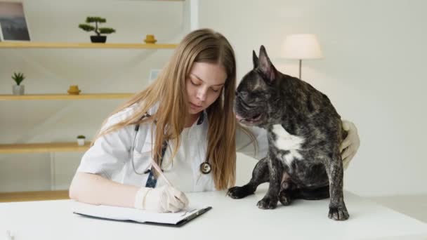 Veterinário está olhando para o cão e faz anotações. Mulher está olhando para bulldog francês e escreve em seu bloco de notas. Conceito de médicos de animais e seu trabalho com animais de estimação — Vídeo de Stock