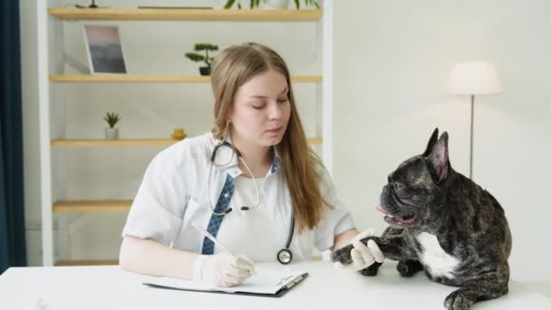 Mulher veterinário estuda as patas do cão, o conceito de saúde e tratamento de animais de estimação. Médico veterano fazendo diagnóstico para cachorrinho bonito — Vídeo de Stock