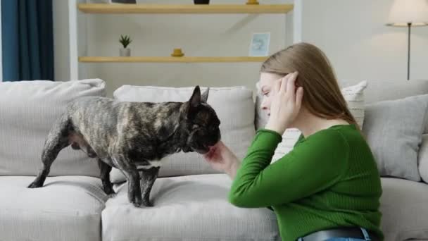 Woman playing with dog using ball. Happy domestic animal concept, best friends — Vídeos de Stock