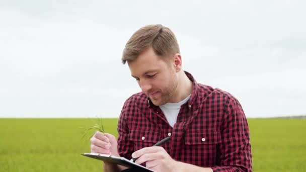 Agricultor estudia el crecimiento del trigo verde y escribe los indicadores en el cuaderno — Vídeos de Stock
