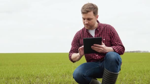 Agricultural business. Farmer in wheat field with tablet. Agriculture. Farmer organic business — Stock Video
