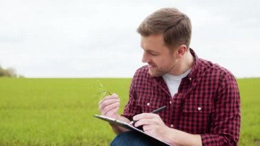 Çiftçi yeşil buğdayın büyümesini inceler ve not defterine göstergeleri yazar