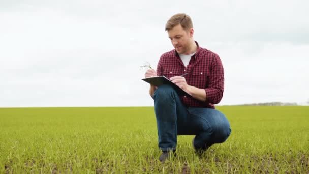 Чоловік фермер, що працює в полі, оглядає урожай пшениці природним господарством — стокове відео