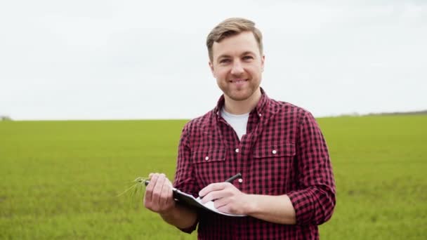 Portrait shot of attractive farmer standing in green field with green wheat and notebook in the hands. Farmer with smile outdoors in summer — стоковое видео