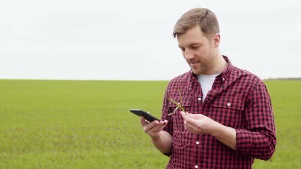 Young farmer talking on the phone in the green wheat field. Farmer is satisfied with the growth of wheat — Stock Video