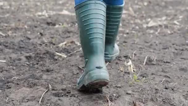 Farmer pracovník jde domů po sklizni konce pracovního dne nohy v gumové boty zemědělství — Stock video